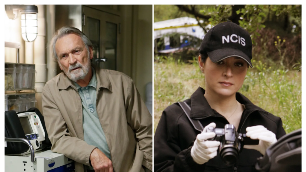'NCIS' deaths deal major heartbreak to TV fans. These six still shock