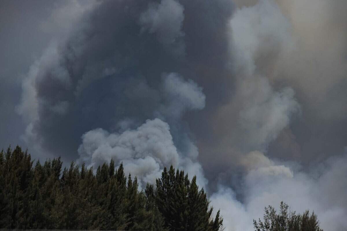 Smoke rises during a brush fire on Wednesday, June 17, 2026, in West Miami-Dade just west of Doral.