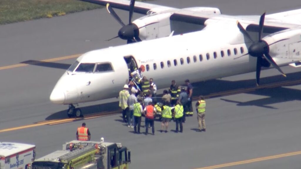 Passengers restrain pilot during apparent medical emergency on 'terrifying' flight