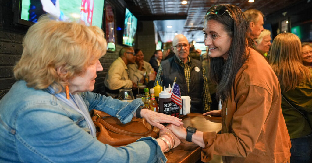 After Bruising Primaries in New York, Democrats Look to November Elections
