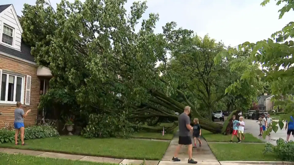 Storms down trees, leave thousands without power in Chicago area – NBC Chicago