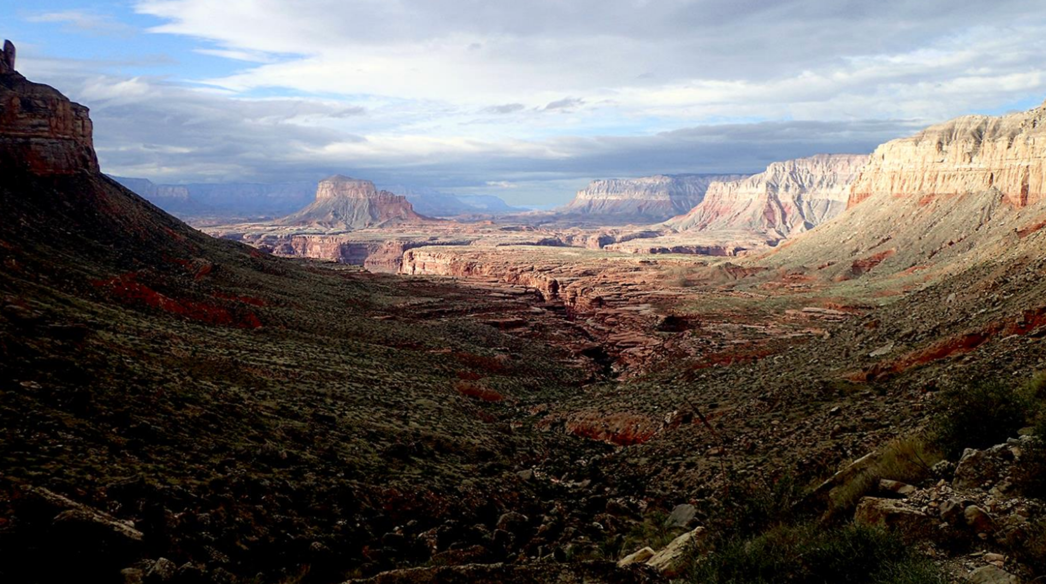 panoramic view of the grand canyon