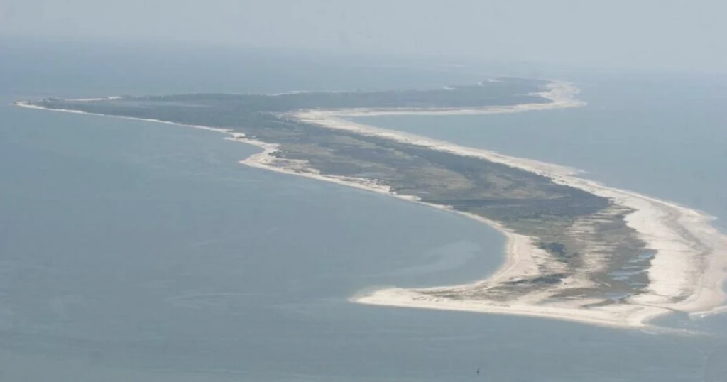 Search underway for teen who went missing near Horn Island | Gulf Coast