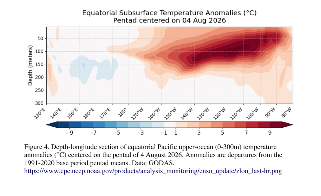 equatorial subsurface temperature temp-anomalies-aug-2026