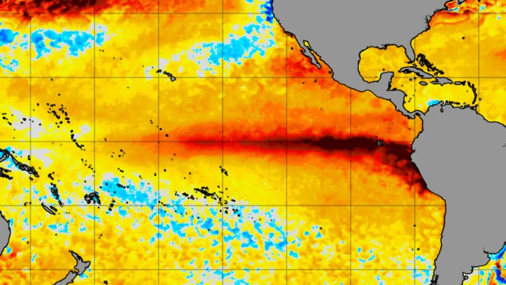 NOAA coral reef watch 5 km sst aug 15 2026