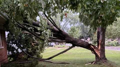 All severe warnings and watches have been canceled