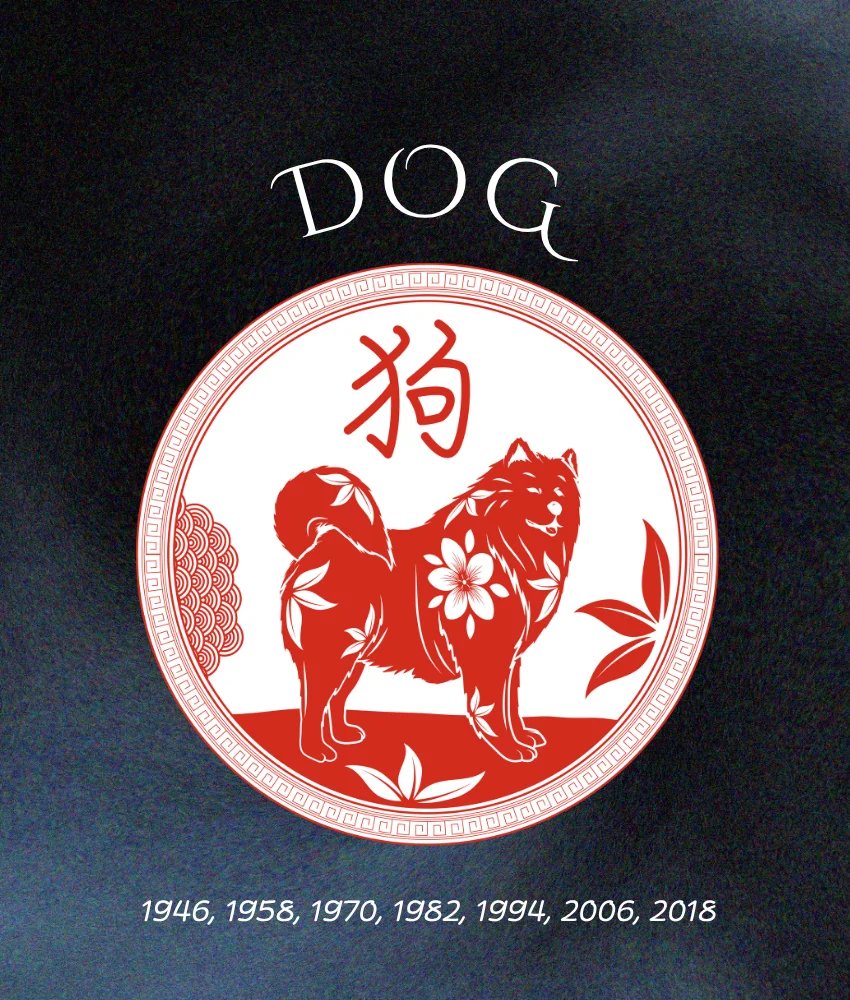 dog chinese zodiac signs life better august 25, 2026