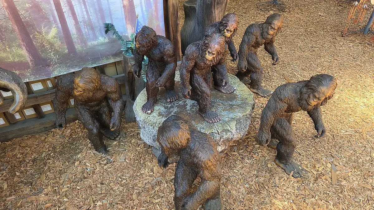 Screencaps reader Jim T in San Diego encountered a Bigfoot shop in the wild.