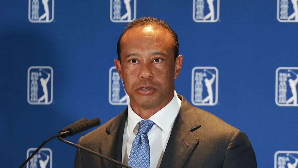 tiger woods grey hoodie