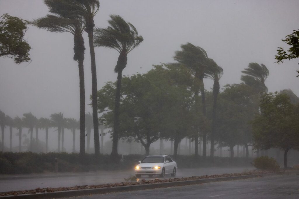 A powerful El Niño is building. From the Gulf Coast to California, here's what it could mean for weather in your state.