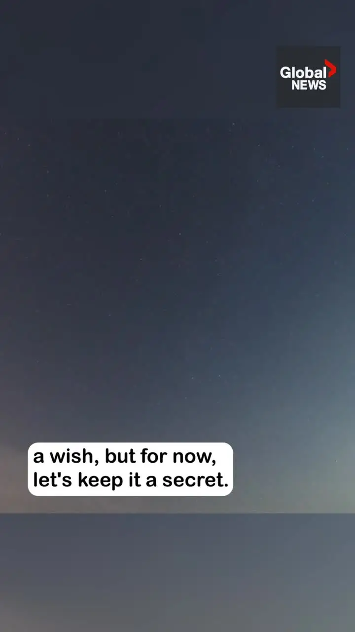 Click to play video: 'Perseid meteor shower lights up night sky across Balkans'