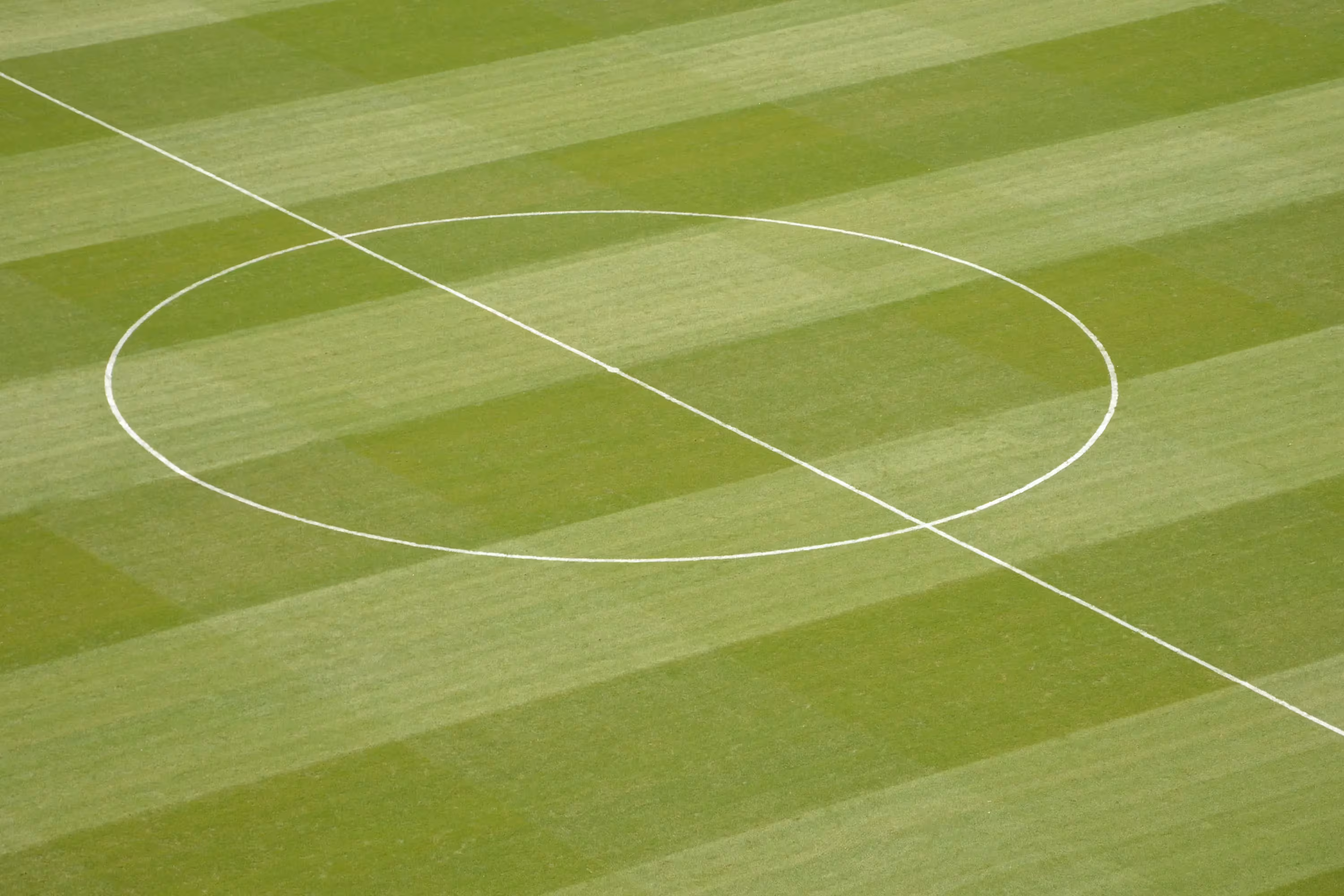 Estadio da Luz