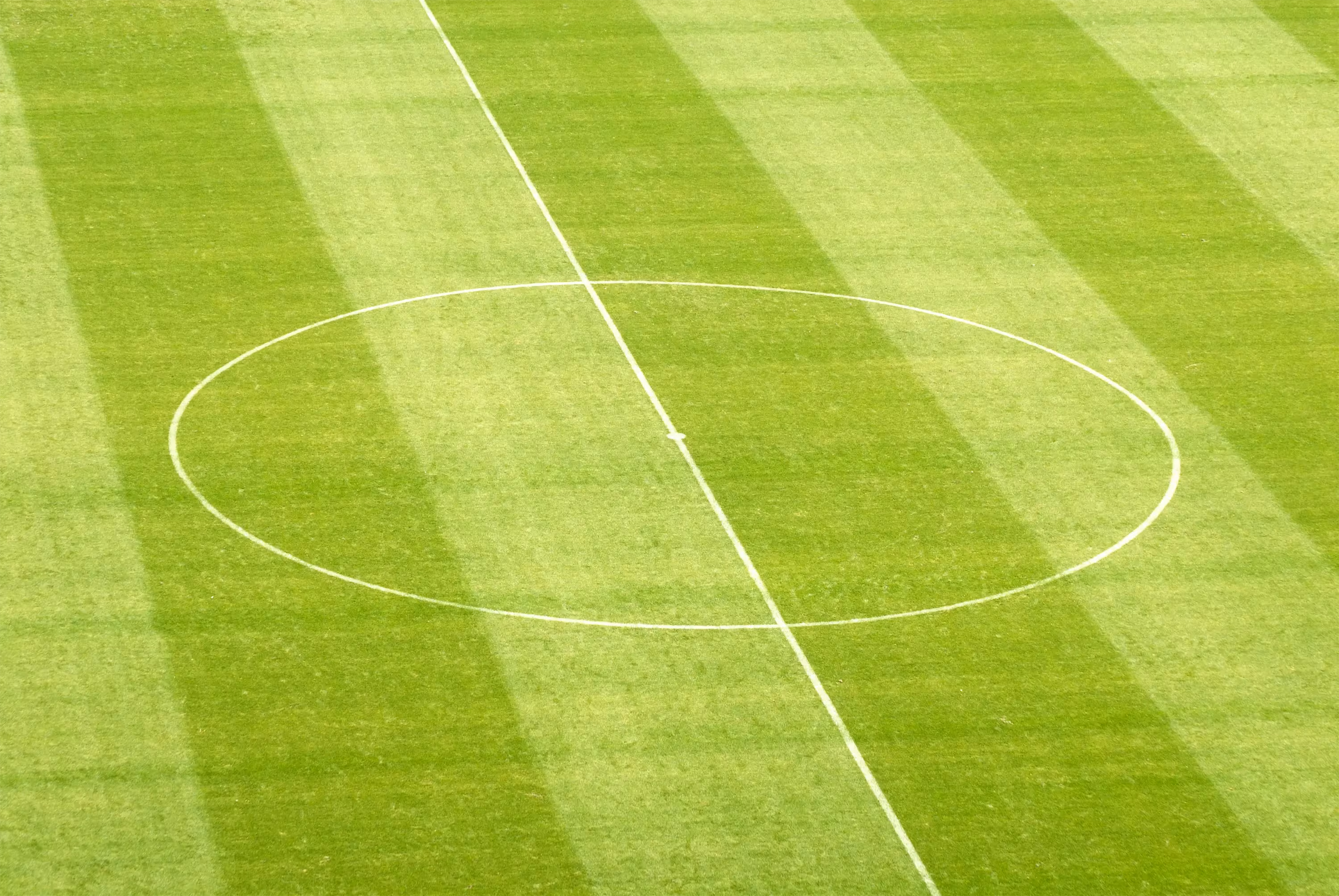 Estadio Banorte