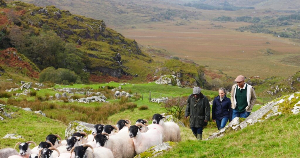 Inside TODAY’s Trip to Ireland — Plus, an Exclusive Travel Deal
