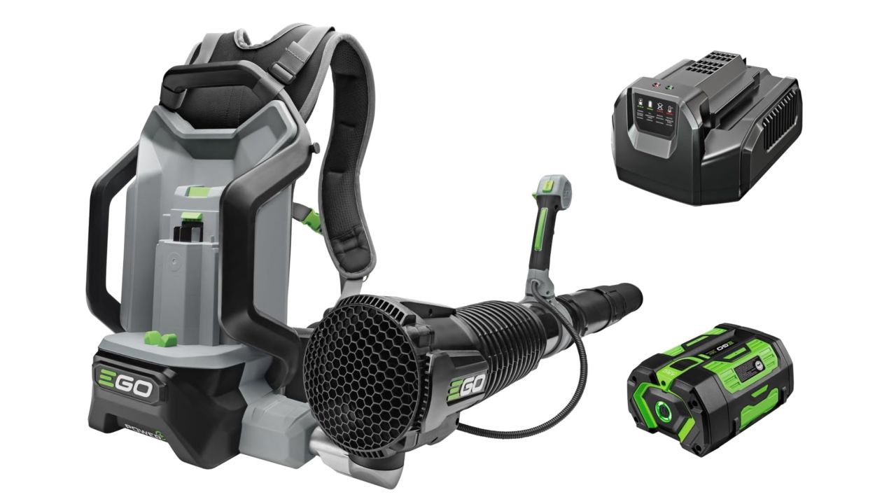 Ego Power+ LB6003 Backpack Electric Leaf Blower.jpg