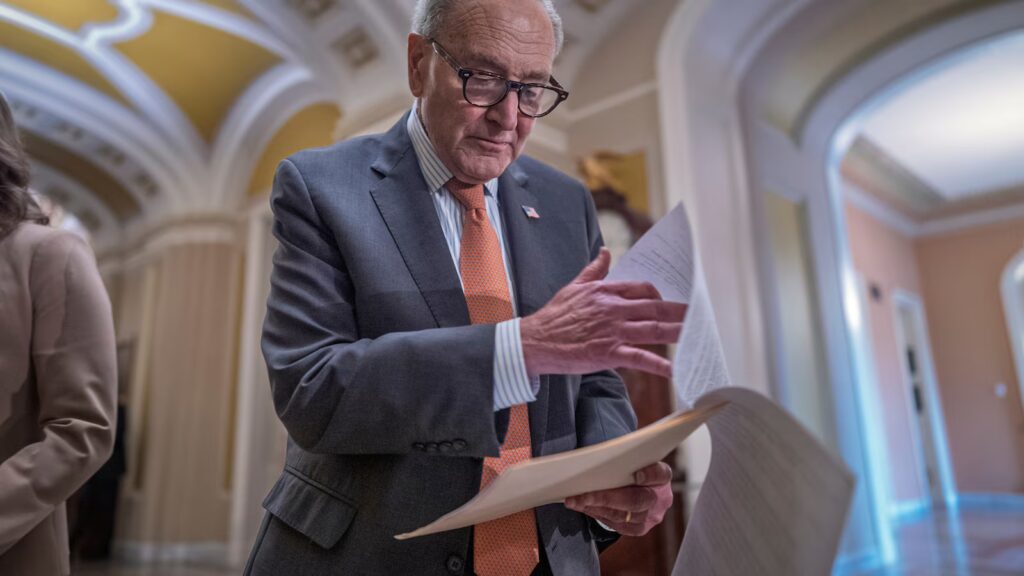 Chuck Schumer has broad support from his caucus, but midterms could decide his future as leader